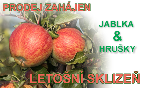 Jablka a hrušky
